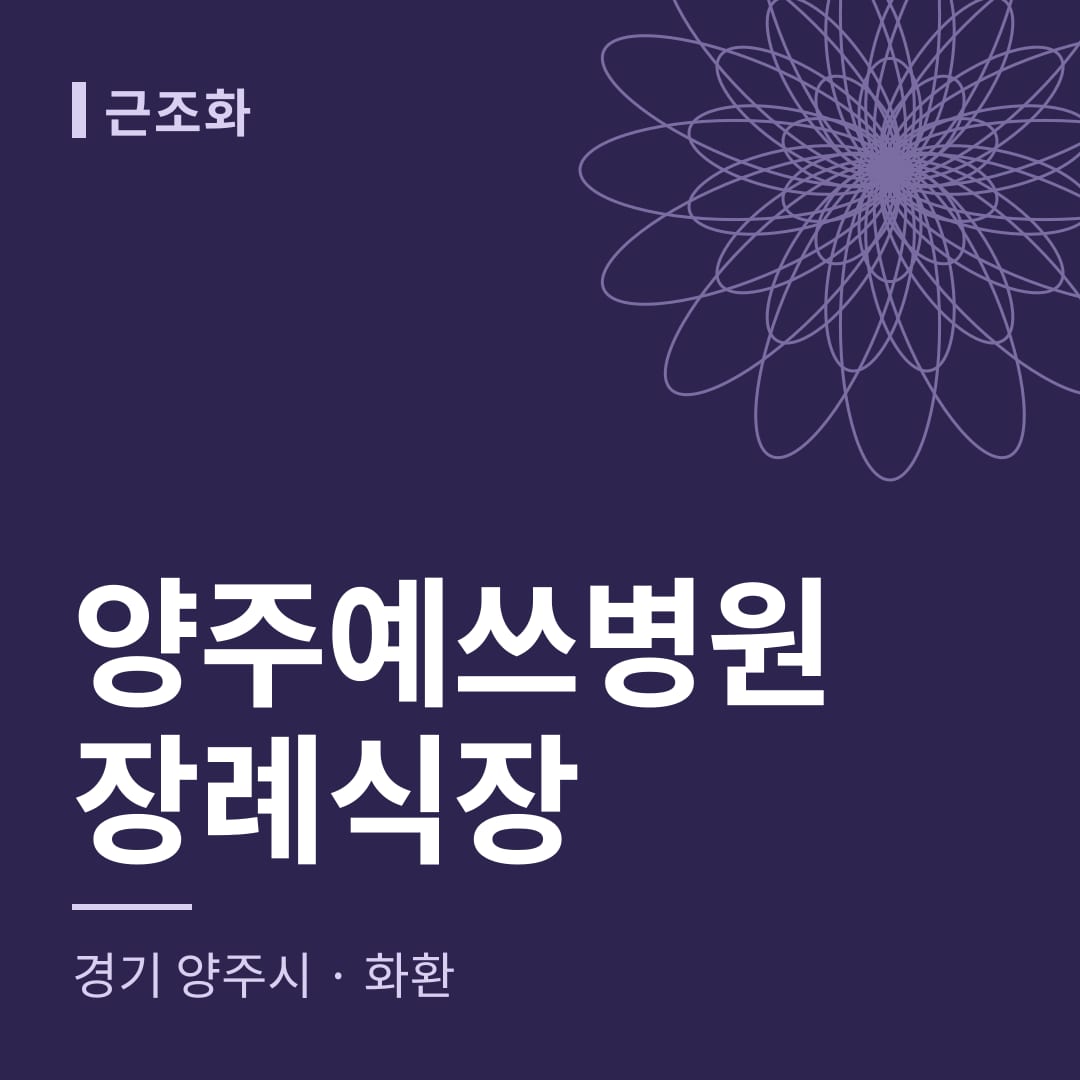 양주예쓰병원장례식장 화환 — 경기 양주시