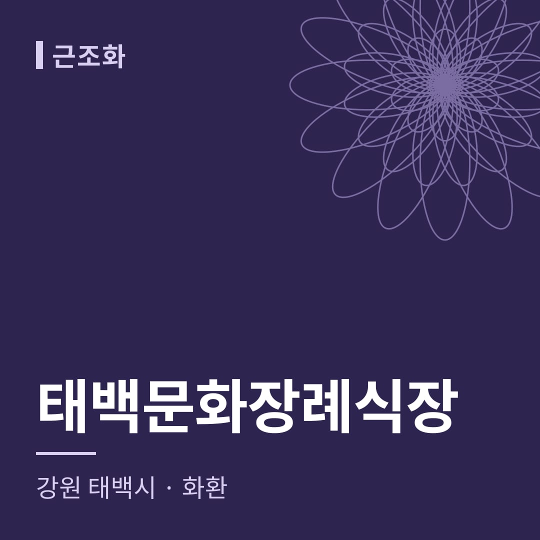 태백문화장례식장 화환 — 강원 태백시