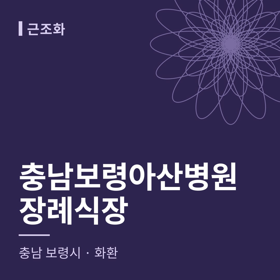충남보령아산병원장례식장 화환 — 충남 보령시